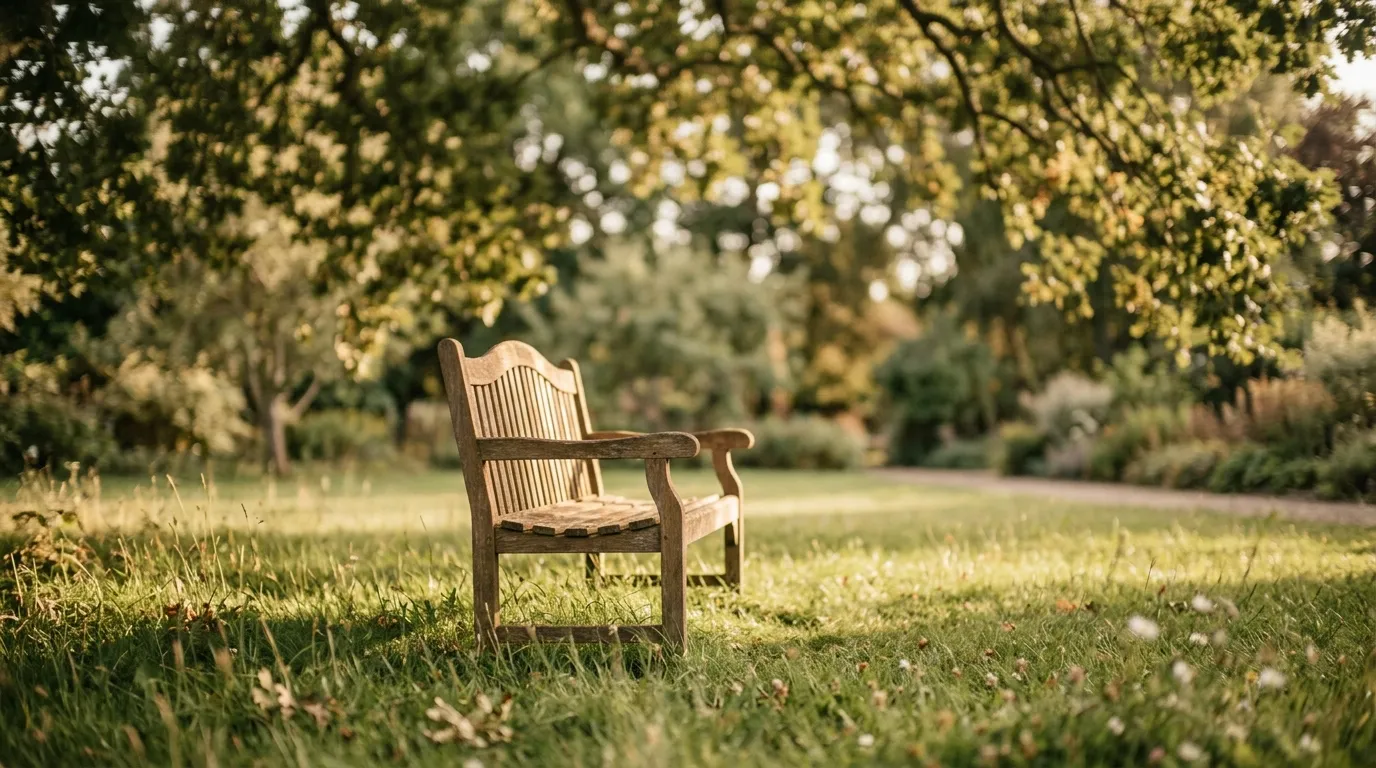 An empty sunlit garden bench beneath a tree in golden-hour light.